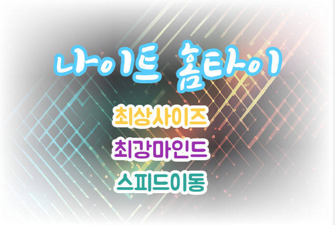나이트홈타이